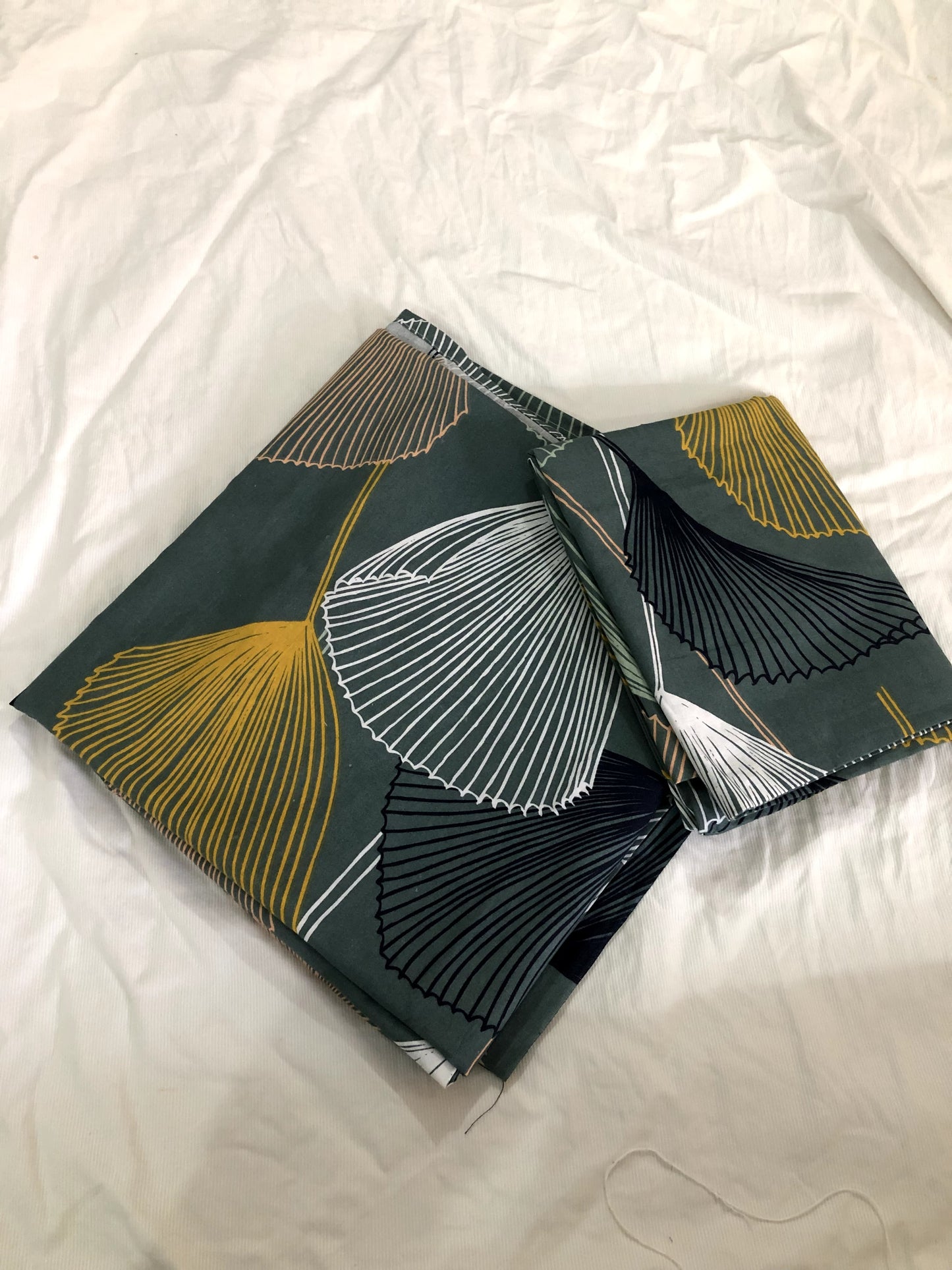 GINKGO OASIS- 3PC